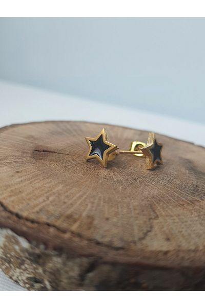 kurukafagift Stainless Steel Nail Model - Star Pattern Men's Earrings with Enameled Centerpieces 2 Pieces