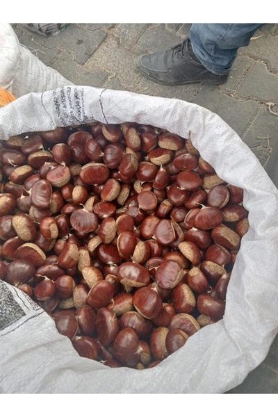 OrganikYemiş 5KG Aydın Şekerci 2025 Duble İri Boy Kestane