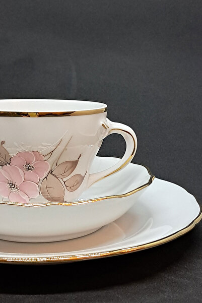 Bavaria German Hand Painting Antique Porcelain Tea Cup 3 Pieces 170 ml