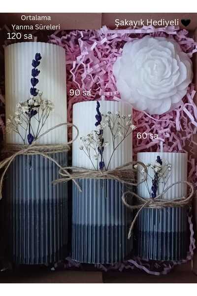 Minimum Stories Stone Baton Vanilya & Lavanta Kokulu 3'lü Dekoratif Mum Seti