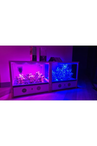 UPTECHLABS UGarden, Grow Light, Akıllı Bahçe, Hidroponik, Bitki Yetiştirme Sistemi