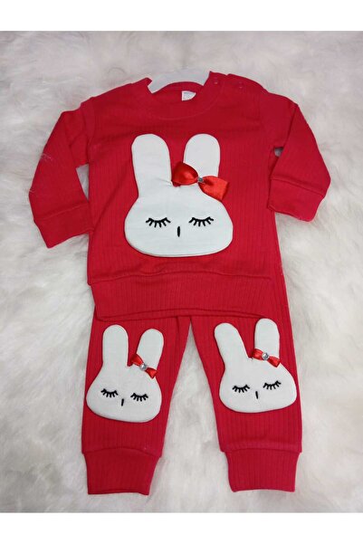 Butik Tavşanlı Ikili Bebek Takım