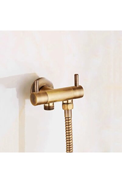 OEM Antique Color Bathroom Bidet Pressure Sprayer Bidet Tap Toilet Seat Hose