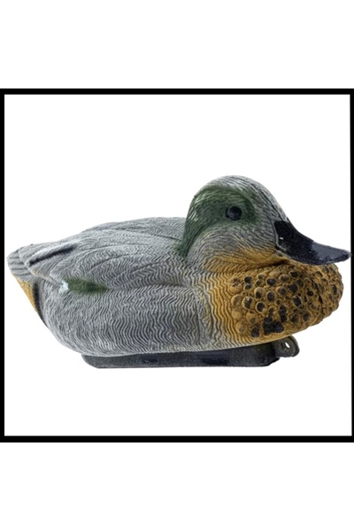 Uygunayakala Uyguna-Yakala Tüylü Erkek Kirik Yüzen Mühre Bahri Ördek Mühresi ...