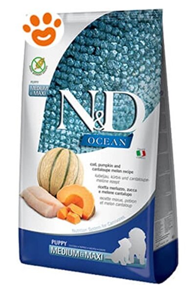 N&D Ocean Balkabaklı Morina Ve Kavunlu Yavru Köpek Maması 2.5 Kg