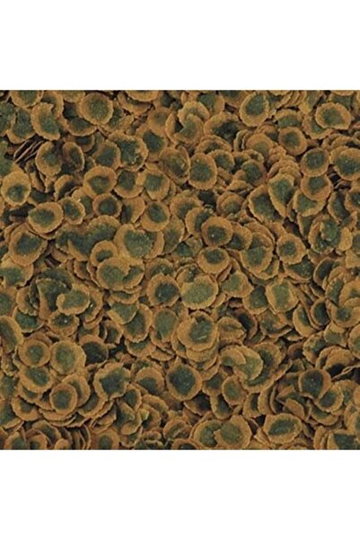 Tetra Pro Algae Crisps Bitkisel Vegetable Balık Yemi 50gr