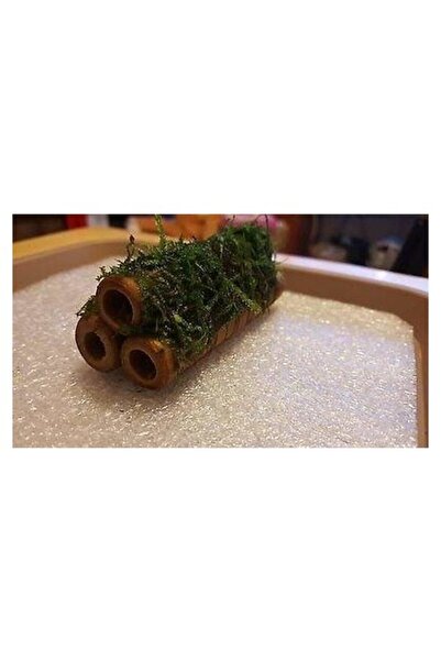 canlipetshop Canlı Petshop Y-moss 3 Lü Kamışa Tutturulmuş ( Karides Yuvası Ve Üretim Kamışı)