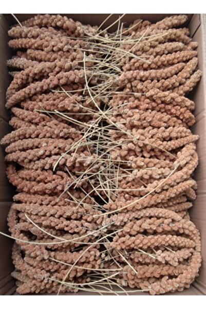 Erenpet Eren Pet Doğal Üretim Kızıl Dal Darı 1 Kg. (1000 GR.)