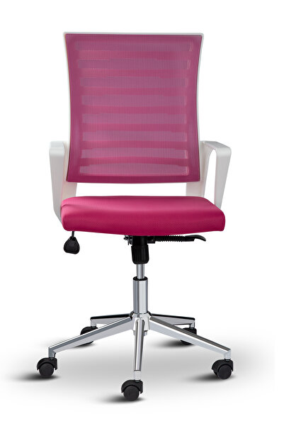 Asbir Mobilya Ceo Fileli Çalışma Koltuğu Beyaz İskeletli