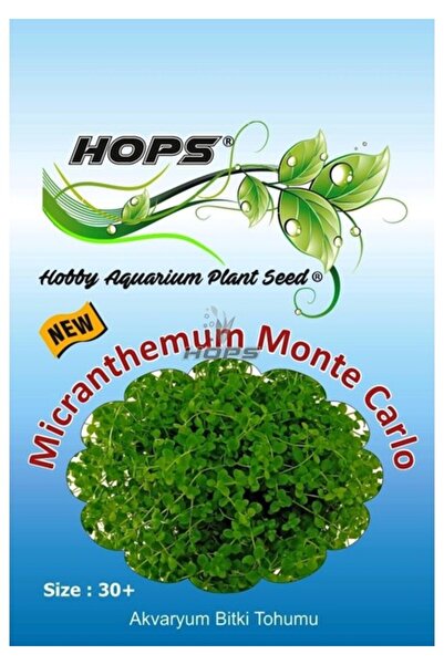 canlipetshop Hops Akvaryum Için Canlı Bitki Tohumu Monte Carlo