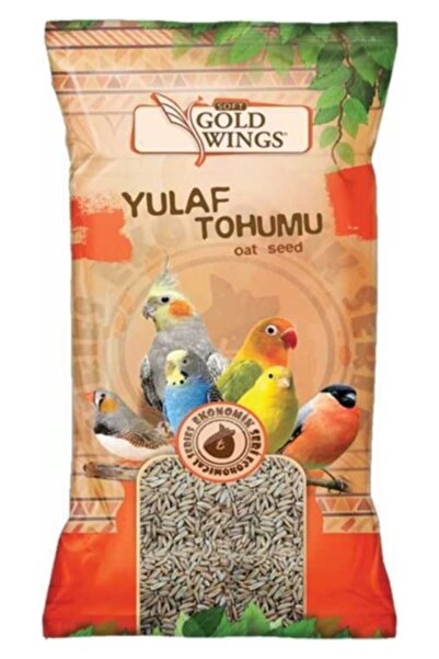Genel Markalar Gold Wigs Yulaf Kuş Yemi 300 Gr