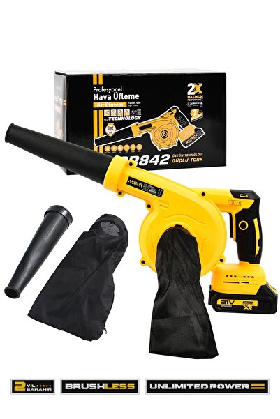 ASSUR Profesyonel 21v Çift Akülü Kompresör Şarjlı Hava Üfleme Makinesi