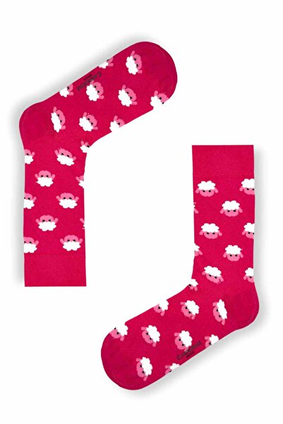 CARNAVAL SOCKS Σετ 6 κάλτσες με θέμα τη φύση και τον αθλητισμό