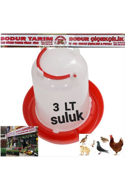 BODUR TARIM 3 Lt Chick Blur - Bird Chicken Drinker, Transparent 1st Quality Plastic