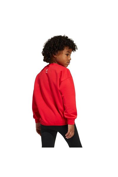 adidas Children's Sweatshirt Lk Dy mm Swt Jf3640