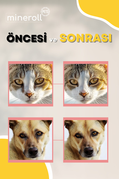 Mineroll Pets Kedi ve Köpek Göz Temizleme Mendili, Tek Kullanımlık, Gözyaşı Lekesi Temizleyici, Parfümsüz, 20 adet