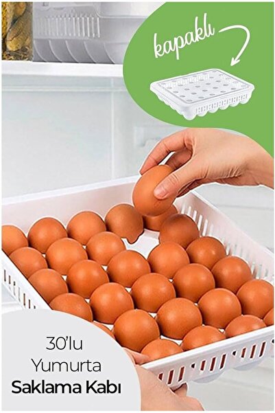 RiverWorld River World 30 Egg Storage Container