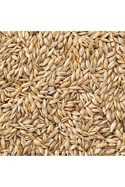 Genel Markalar YEMLİK TÜM DOĞAL ARPA TAVUK, KAZ YEMİ, AT YEMİ 10 KG