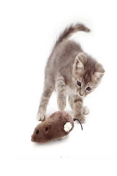 Sonrisa Pets Sonrisa Wind-Up Mouse Cat Toy Plush Toy