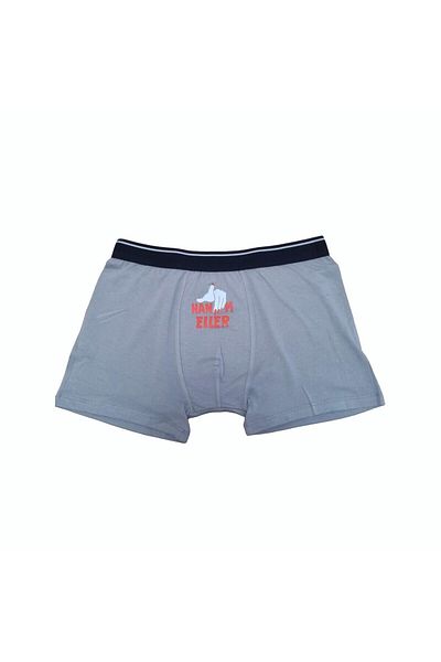 MODA Gift,Fun and Funny Printed Modal Fabric (Soft,Light and Breathable) Men's Boxer