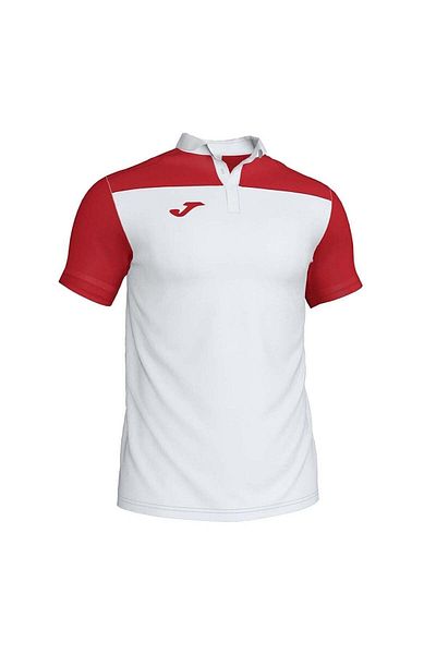 Joma Ανδρικό μπλουζάκι Casual Polo Hobby 101371 .206
