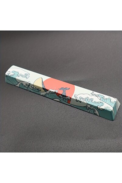 Choice قطعتان من مفاتيح Esc + Space Bar Coral Sea Keycap OEM Height Pbt Cherry Sub - مفتاح 6.25u لـ Diy Mechanical K...