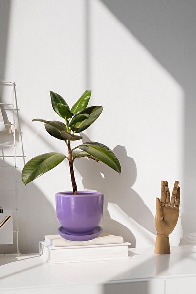 Evdek Tabaklı Lila U Çömlek Saksı 16x16 Cm