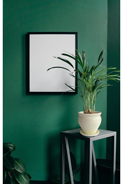 Evdek Tabaklı Klasik Krem Çömlek Saksı 17x17 Cm