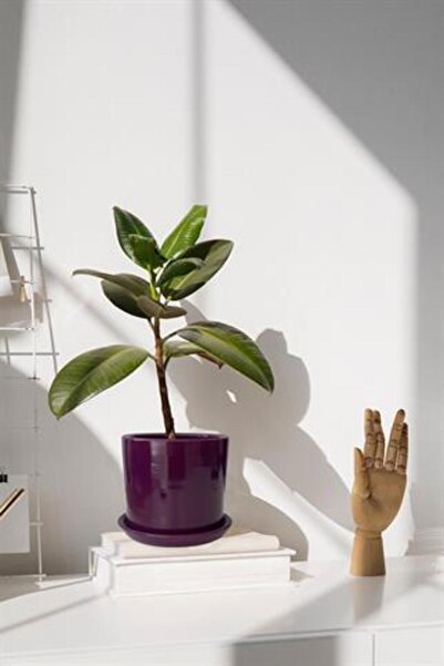 Evdek Tabaklı Mor Silindir Çömlek Saksı 22x22 Cm