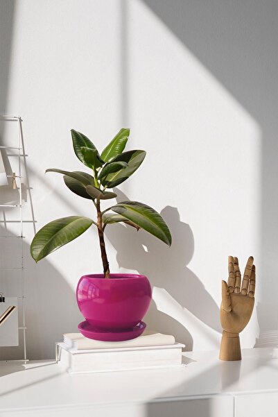 Evdek Tabaklı Koyu Pembe Tombul Çömlek Saksı 22x21 Cm