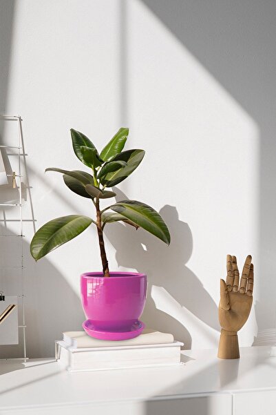 Evdek Tabaklı Pembe U Çömlek Saksı 16x16 Cm