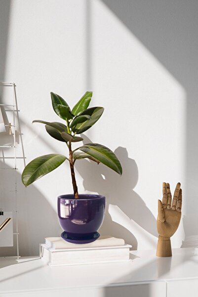 Evdek Tabaklı Mor Çömlek Saksı 19x19 Cm