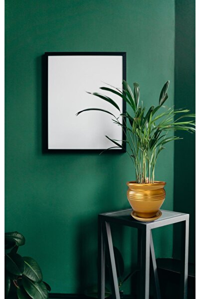 Evdek Tabaklı Klasik Altın Çömlek Saksı 22x22 Cm