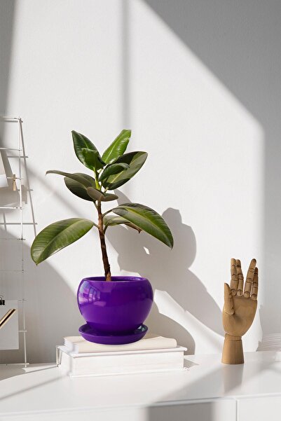 Evdek Tabaklı Mor Tombul Çömlek Saksı 16x15 Cm