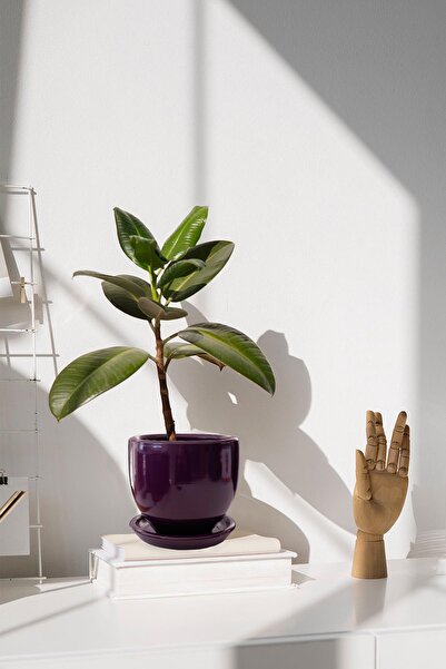 Evdek Tabaklı Mor U Çömlek Saksı 24x24 Cm