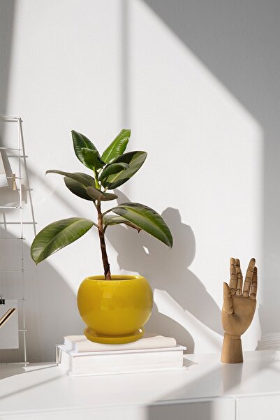 Evdek Tabaklı Sarı Tombul Çömlek Saksı 22x21 Cm