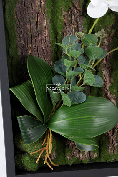 Yapay Çiçek Deposu Yapay Orkide Dekorlu Naturel Ağaç Kabuğu Yosun Tablo 40x60cm