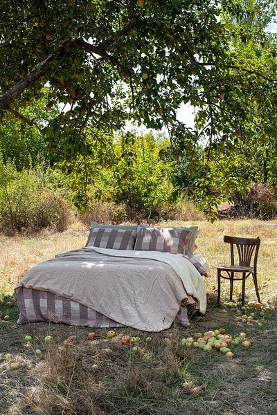 Barine Gray Cozy Cotton Bedspread - 240X260