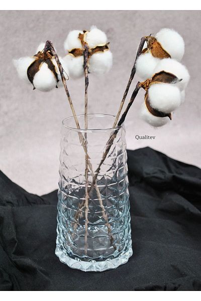 Qualitev Glass Vase 15 cm Small Size Pinterest Model Stylish - 1 Piece