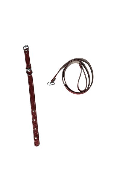 shop طوق كلب متوسط ​​الحجم