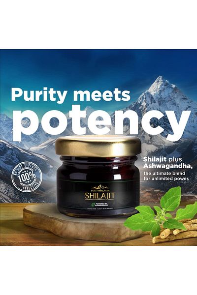 Wow Life Science Himalayan Shilajit Ashwagandha 20g