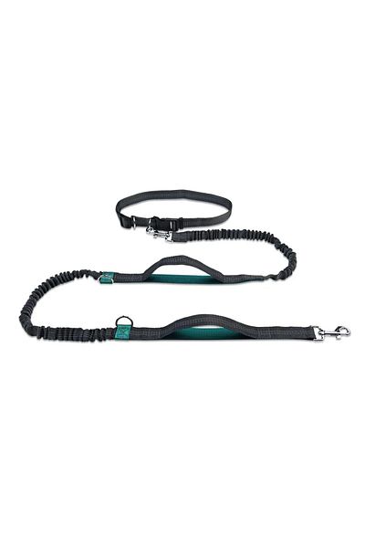 Choice Aqua Green Retractable Hands Free Dog Leash For Running Judge Leash Large Dog Pet Supplies
