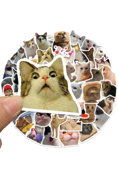 Choice Cute Cat 50pcs 50pcs Cute Cat Stickers Vinyl Waterproof Funny Cats Decals For Water Bottle Laptop Sk