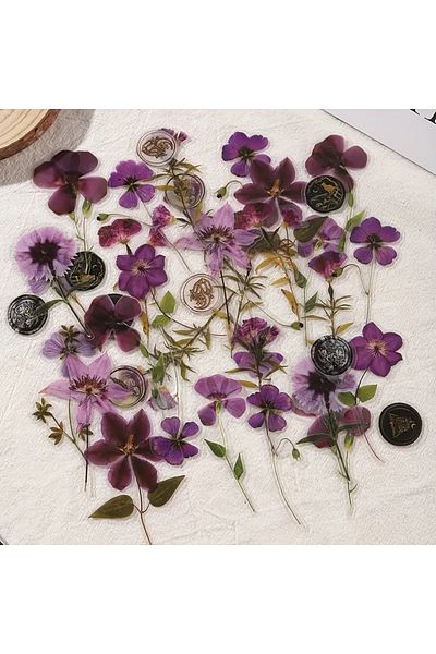 Choice F Jianqi 40 Pcs Dried Flower Collection Record Pet Stickers Decorative Handmade Scrapbooking Materi.
