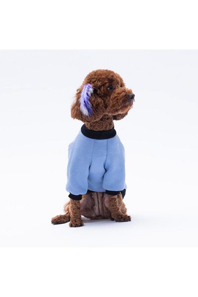 Pawstar Blue Loviisa Sweat Cat Dog Sweat- Cat Dog Outfit