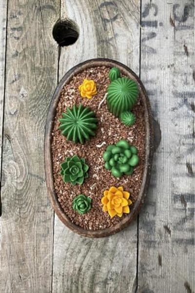 STOREMAX Ntwork Concept Moonstone Succulent Candle Mold (Silicone) Art 1087243