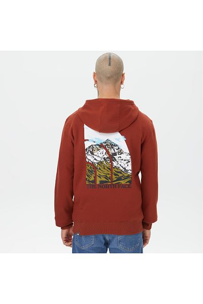 THE NORTH FACE Мъжки суитшърт с качулка и сезонен графичен дизайн, кафяв