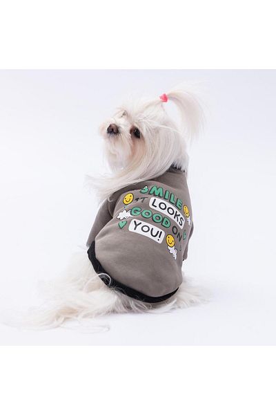 Pawstar Smoked Loviisa Sweat Cat Dog Sweat- Cat Dog Outfit