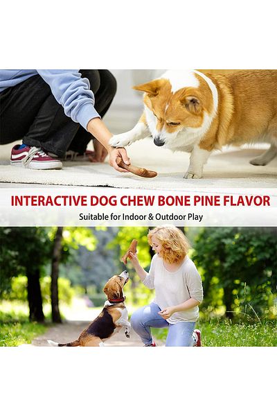 Choice Dog Chew Toys - Real Wooden Deer Antlers For Large Chewers Durable & Indestructible Pet Toy