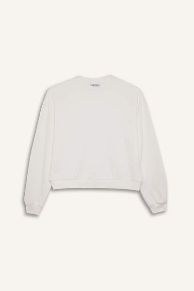 DeFacto Regular Fit Crew Neck Thick Basic Plain Sweatshirt D6645Ax24Wn